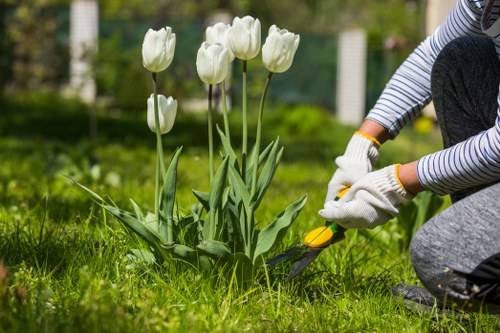 Gardening Blackwall team overview working on a terraced garden