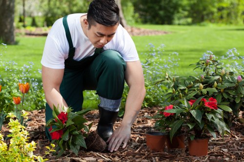 Safe tree removal procedures